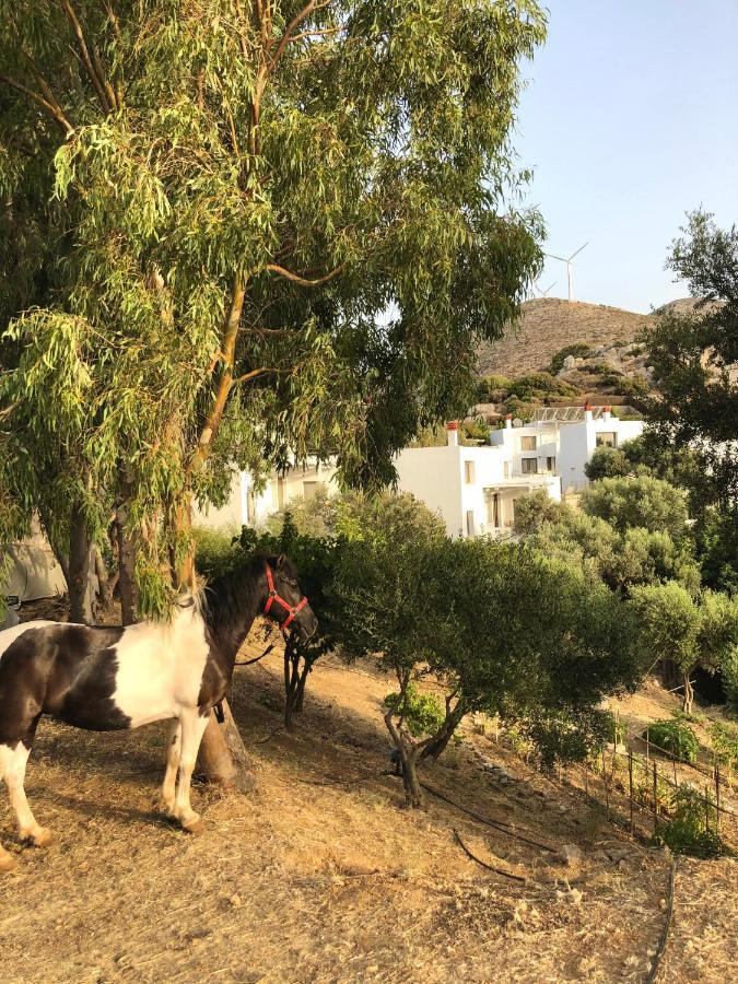 Mourtzanakis Residence - Traditional Eco Hotel In Akhládha Bagian luar foto
